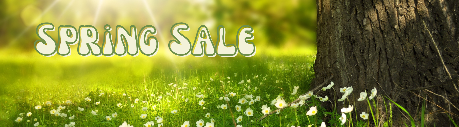 Spring Sale Inbound Train pricing for 360 virtual tours
